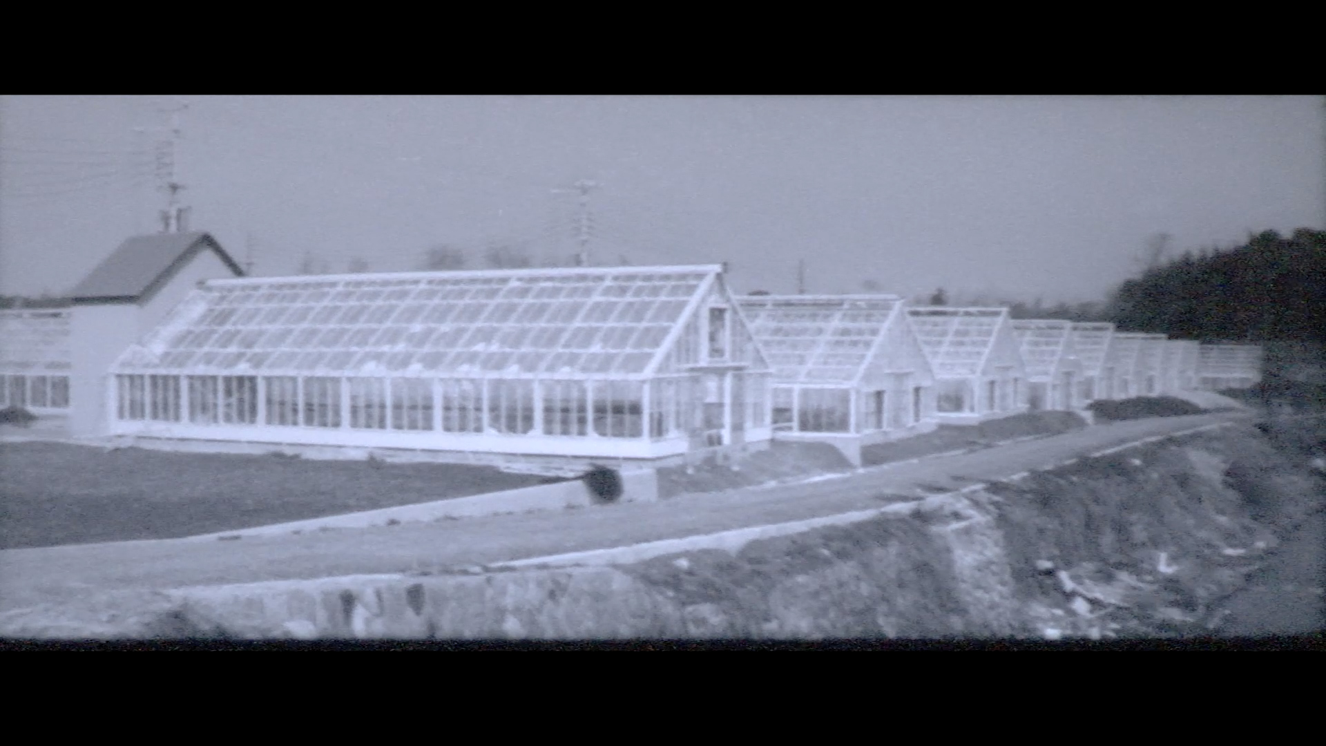 「京都ニュース」No.112　<br>昭和46年(1971年)