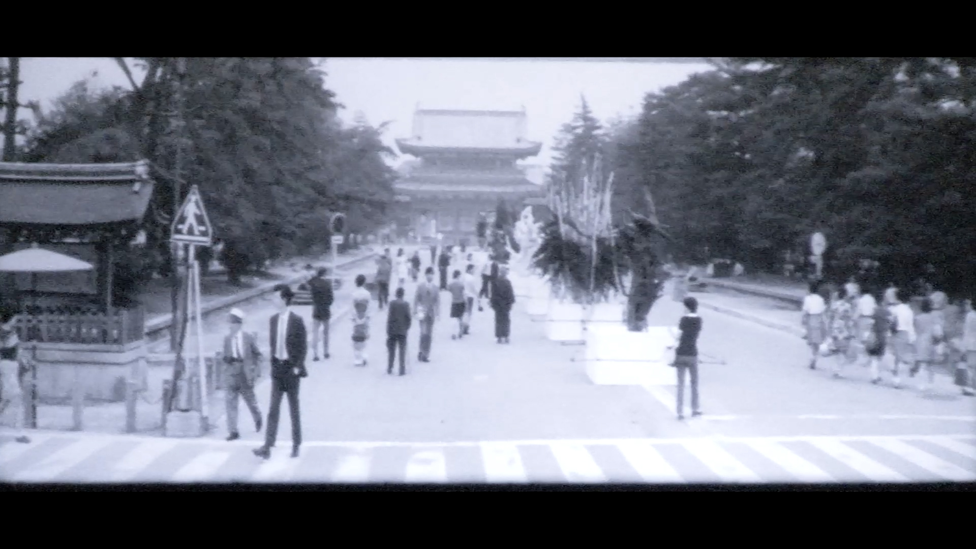 「京都ニュース」No.113　<br>昭和46年(1971年)