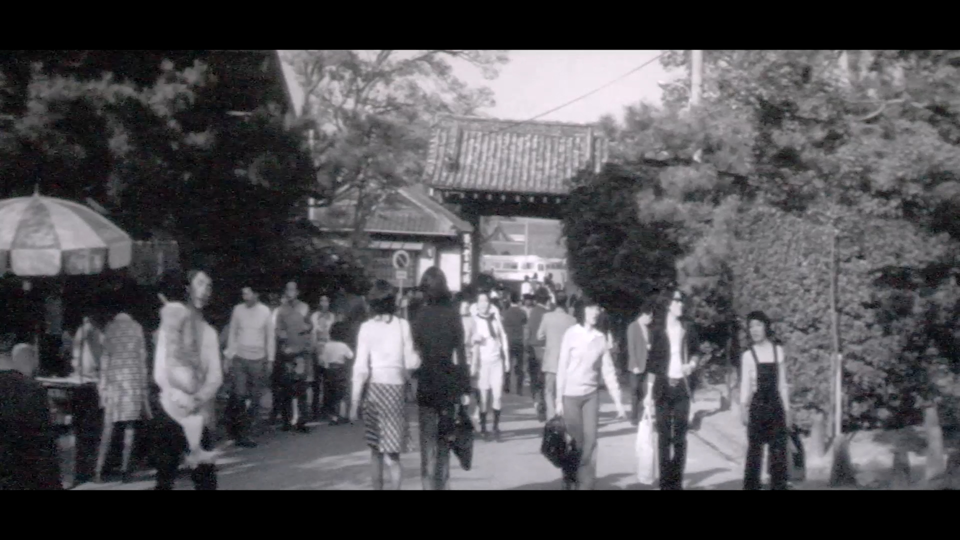 「京都ニュース」No.126　<br>昭和48年(1973年)